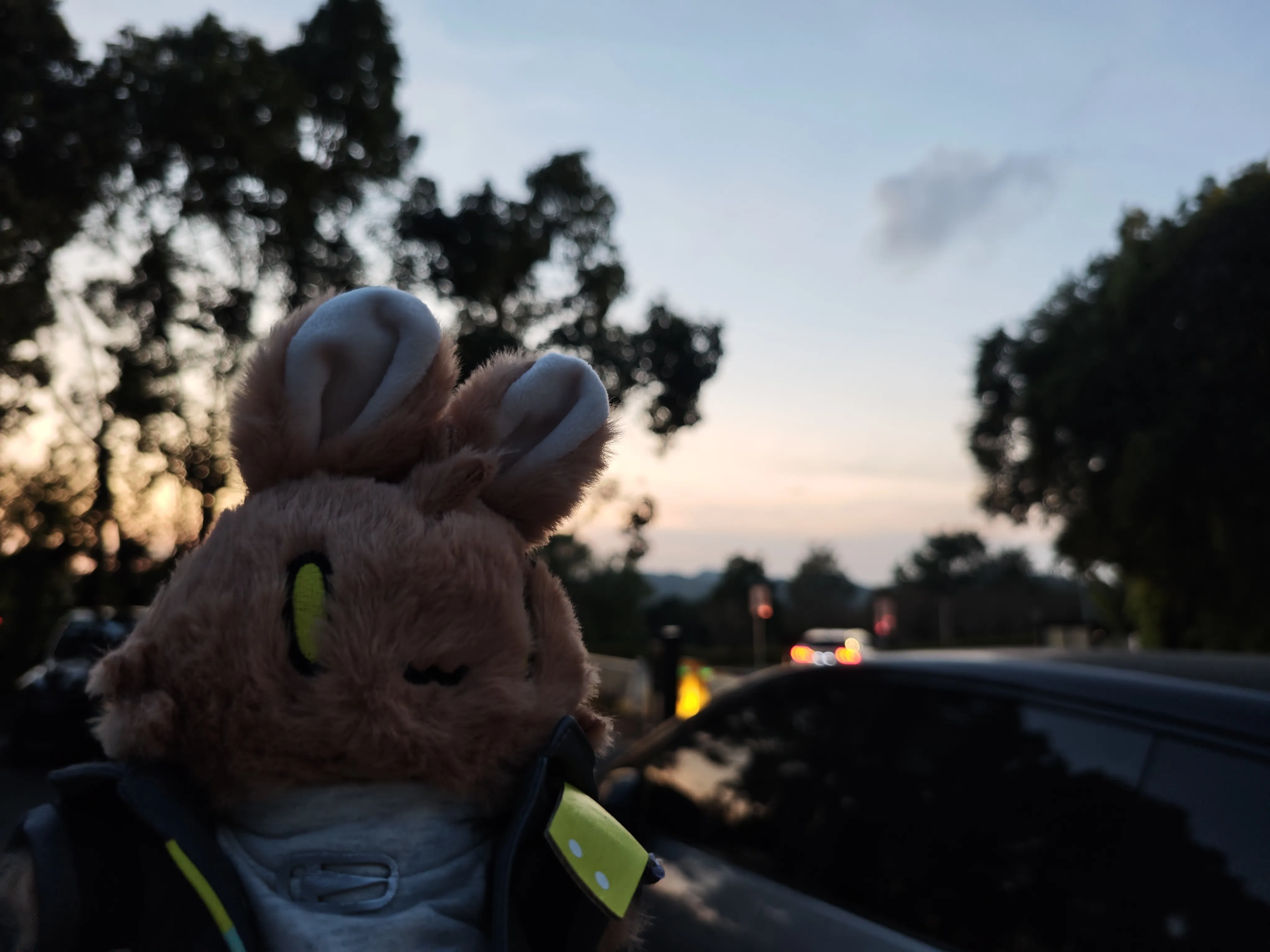 东钱湖畔的黄昏一隅 - A Quiet Moment at Dusk